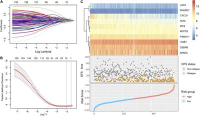 Identification of an Immune Signature Predicting Prognosis Risk and Lymphocyte Infiltration in Colon Cancer